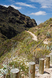 Barranco del Infierno - Tenerife