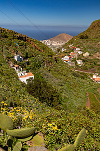 Green Gran Canaria