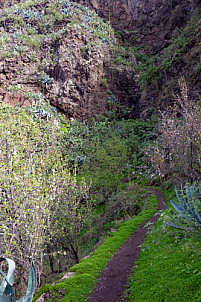Caminar a El Hornillo - Gran Canaria