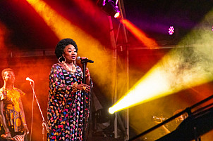 Womad Music Festival 2021